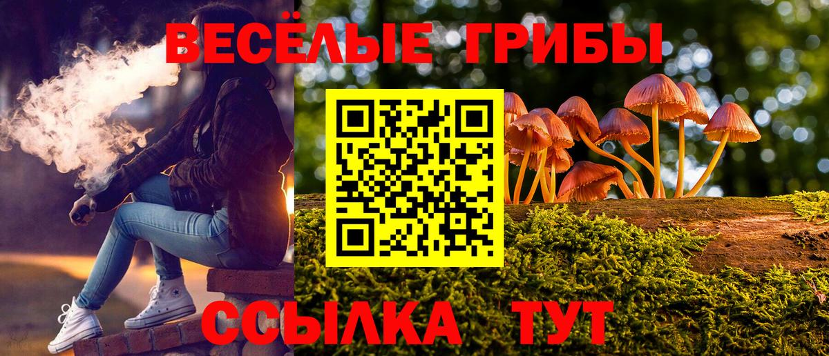 Псилоцибиновые грибы ЛСД  Вход с VPN  Красноярск 